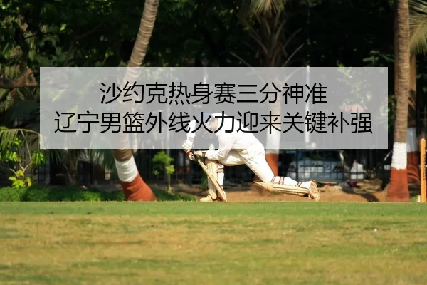 沙约克热身赛三分神准 辽宁男篮外线火力迎来关键补强